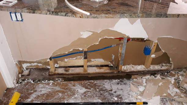 Best Flood damage cleanup  in Brightwaters, NY