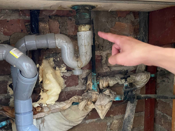 Best Water damage restoration near me  in Brightwaters, NY